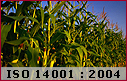 ISO 14001 : 2004